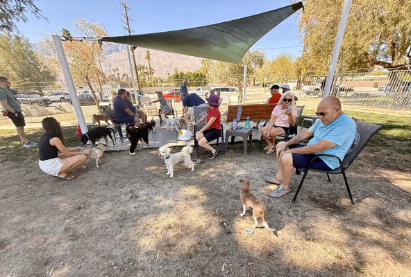 Our Dog Park photo 1